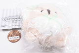 Baby Koala [1.Latte]
