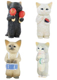 Hanafusa Sakura Cat Concert [All 4 type set(Full Complete)]
