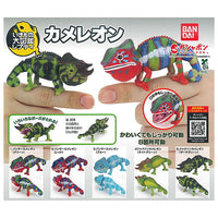 Ikimono Encyclopedia Repti Chameleon [All 5 type set(Full Complete)]