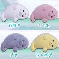 Nosenose,shiyoune. Fuafuazarashi [All 4 type set(Full Complete)]