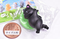 Kyomo Gokigen san [4.Black]