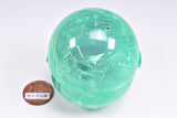 Shirotan Fuwafuwa Sleepy Light Up Stand [2.Raccoinu mattari]