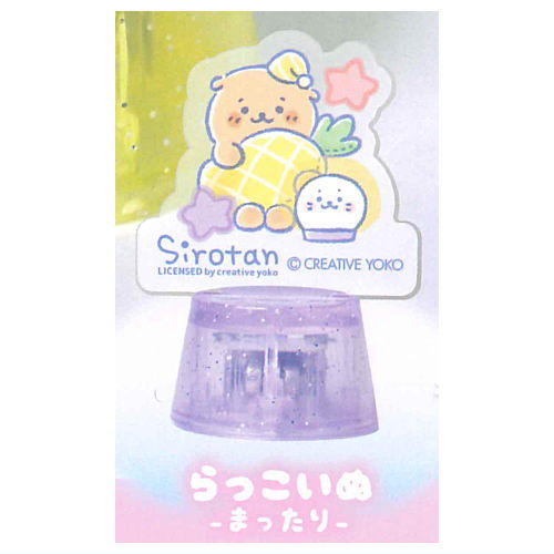 Shirotan Fuwafuwa Sleepy Light Up Stand [2.Raccoinu mattari]