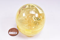 Shirotan Fuwafuwa Sleepy Light Up Stand [3.Shirotan and Raccoinu nakayoshi]