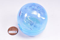 Shirotan Fuwafuwa Sleepy Light Up Stand [6.Raccoinu suwasuya]