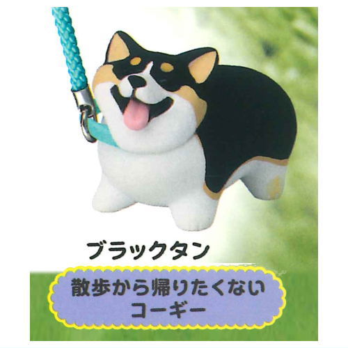 Animal Attraction Corgi sanpo [4.Sanpokarakaeritakunai Corgi (Black Tan)]