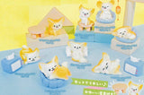 Ouchibanzai! Fennec-san mainichi gu-tara days [All 8 type set(Full Complete)]