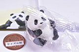 Futebute Panda [1.Mitamedaketanomoshinda]
