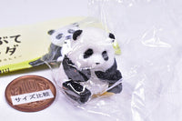 Futebute Panda [2.Jibungatotemokawaiinda]