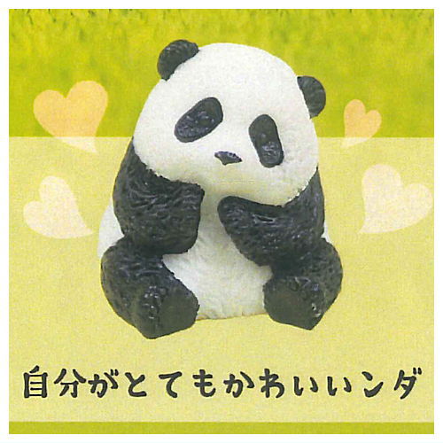 Futebute Panda [2.Jibungatotemokawaiinda]