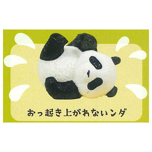Futebute Panda [4.O Okiagarenainda]