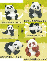Futebute Panda [All 6 type set(Full Complete)]
