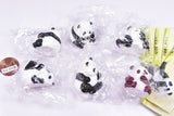 Futebute Panda [All 6 type set(Full Complete)]