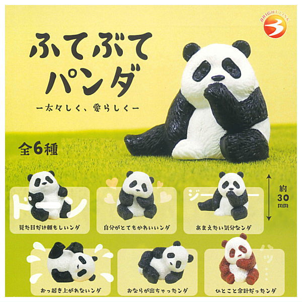 Futebute Panda [All 6 type set(Full Complete)]