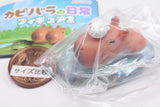 Capybara's Daily Life Figure Part.2 [4.Suisui]