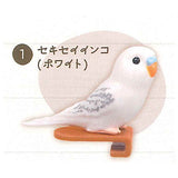 Parakeet Noodle Clip [1.Budgerigar (White)]