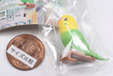 Parakeet Noodle Clip [3.Budgerigar (Yellow x Green)]