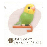 Parakeet Noodle Clip [3.Budgerigar (Yellow x Green)]