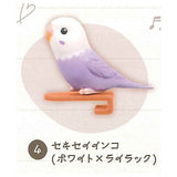 Parakeet Noodle Clip [4.Budgerigar (White x Lilac)]