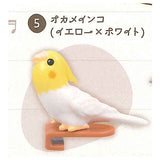 Parakeet Noodle Clip [5.Cockatiel (Yellow x White)]