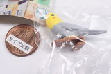 Parakeet Noodle Clip [6.Cockatiel (Yellow x Gray)]