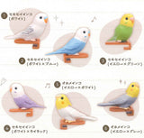 Parakeet Noodle Clip [All 6 type set (Full Complete)]