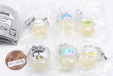 Hapidanbui Nariki Oyster Mejirushi Accessory [All 6 type set(Full Complete)]