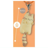 Shippofurifuri Nyanko Accessory [1.Chatora]