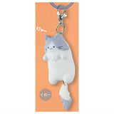 Shippofurifuri Nyanko Accessory [2.Gray]