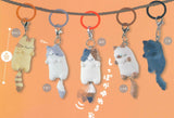 Shippofurifuri Nyanko Accessory [All 5 type set(Full Complete)]