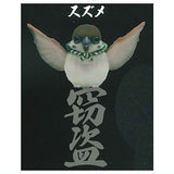 Robber Sparrow [1.Sparrow]
