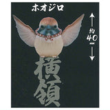 Robber Sparrow [5.Hoojiro]