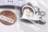 NYASA Capsule Rubber Keychain [3.Nekkorogari]