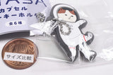 NYASA Capsule Rubber Keychain [6.Gorogoro]
