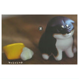 Animal Attraction Shibagurashi Part.2 [1.Itazuragabarete kimazui shibainu (black)]