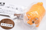 Animal Attraction Shibagurashi Part.2 [5.Oyatsugaarutokidake geiwosuru shibainu (red)]