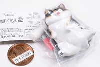 Animal Attraction Shibagurashi Part.2 [8.Korokorogakimochiii shibainu (black)]