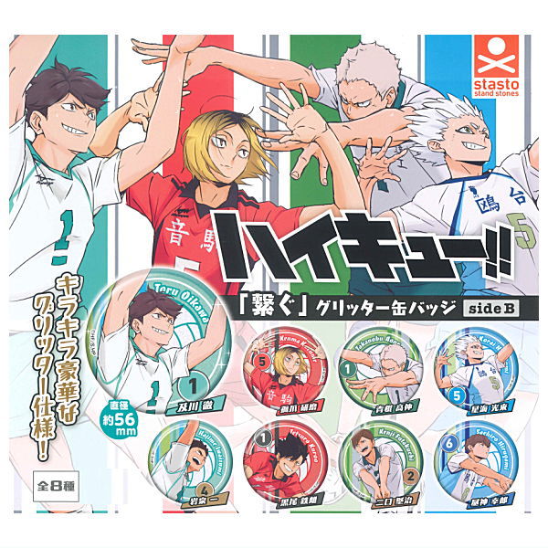 Haikyu!! 'Tsunagu' Glitter Can Badge Side B [All 8 type set(Full Complete)]