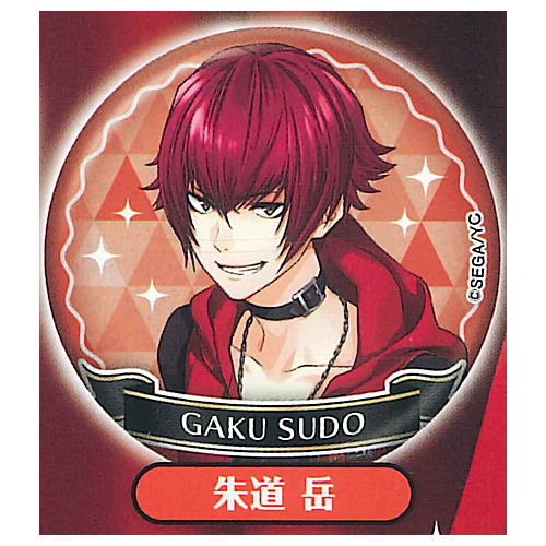 Yumeiro Cast Lame Glitter Can Badge [12.Gaku Sudo]
