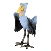 The Motionless Bird Shoebill [3.Shoebill C]