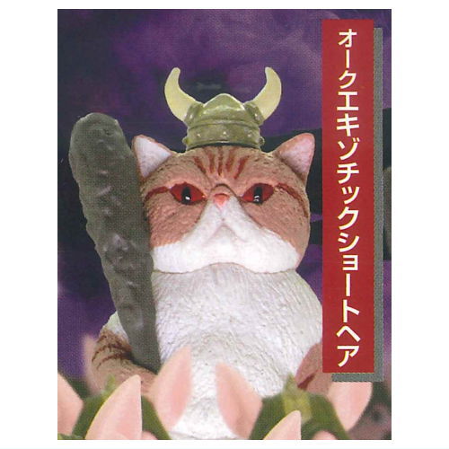 Otherworldly Cat [1.Oak Exotic Shorthair]