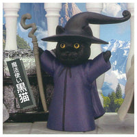 Otherworldly Cat [3.Wizard's Black Cat]