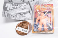 Kinnikuman Great Muscle Blister Charm Collection [2.Terryman]