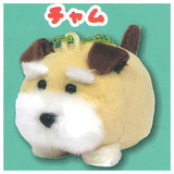 Schna and Bob Plush Toy [3.Chum]