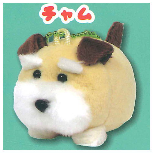 Schna and Bob Plush Toy [3.Chum]