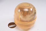 Home Economics Dragon Transformable Figure [6.Gold x Gold Dragon]