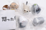 Okottanekochaaan Part.4 [All 5 type set(Full Complete)]