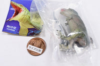 Capsule Q Dinosaurs The Cretaceous [1.Tyrannosaurus]