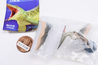 Capsule Q Dinosaurs The Cretaceous [3.Pteranodon]