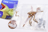 Capsule Q Dinosaurs The Cretaceous [5.Velociraptor Full Skeleton]